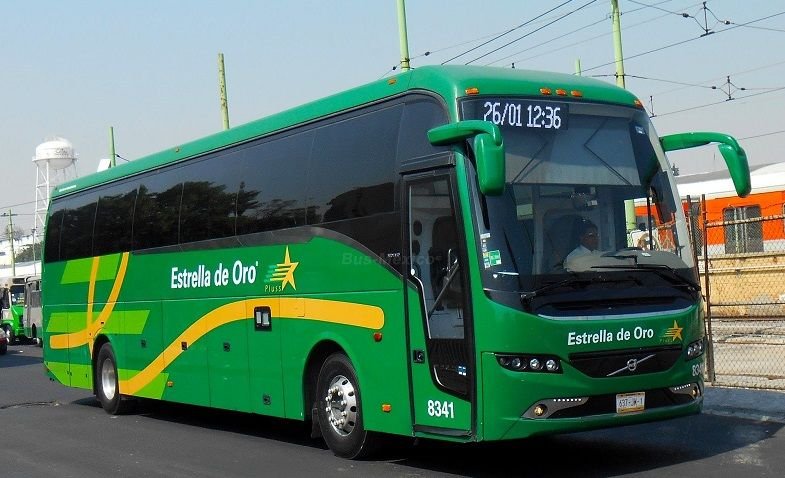 estrella de oro acapulco